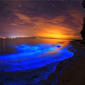 Meet your Posher, Nichole